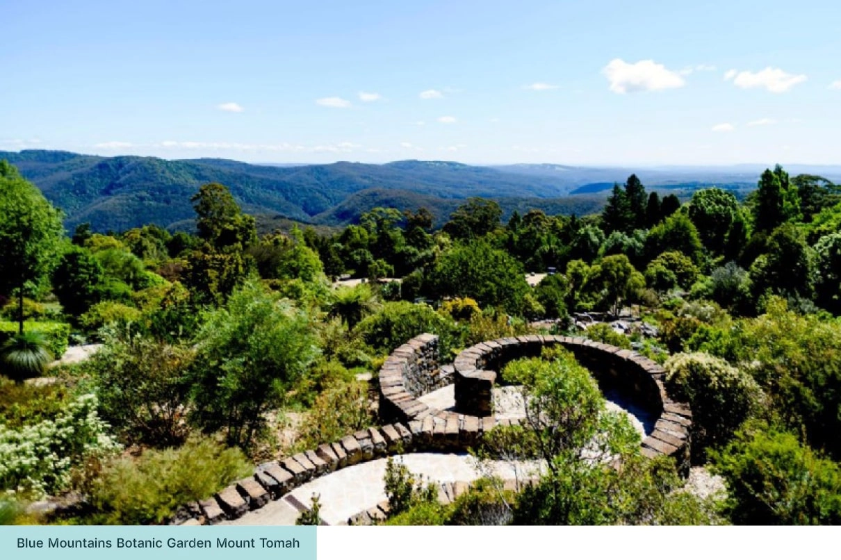 Landscape view of the Blue Mountains Botanic Garden at Mount Tomah, showing winding stone paths and mountain ranges.