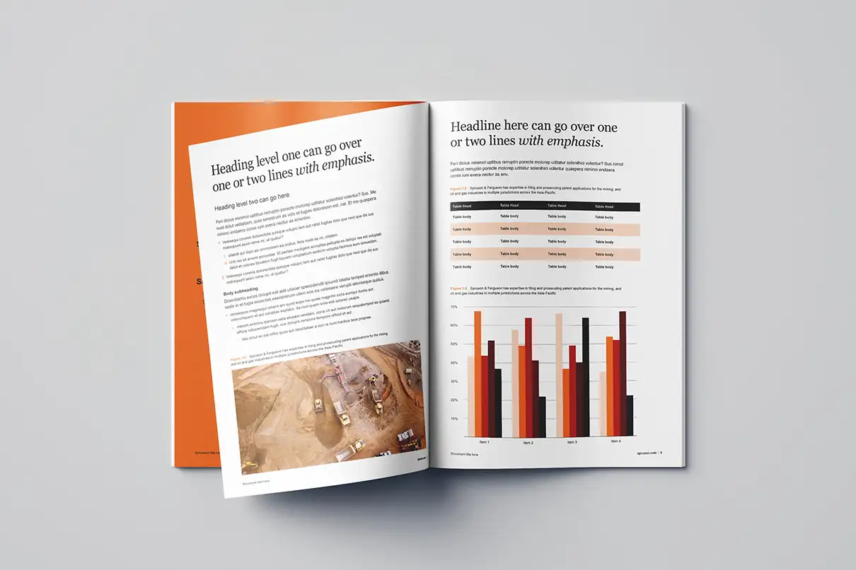 Open Spruson & Ferguson report spread.
