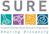 Logo for SURE Science Undergraduate Research Experience featuring icons of a microscope, hair dryer, calculator, and globe with text 'Sharing Discovery'.
