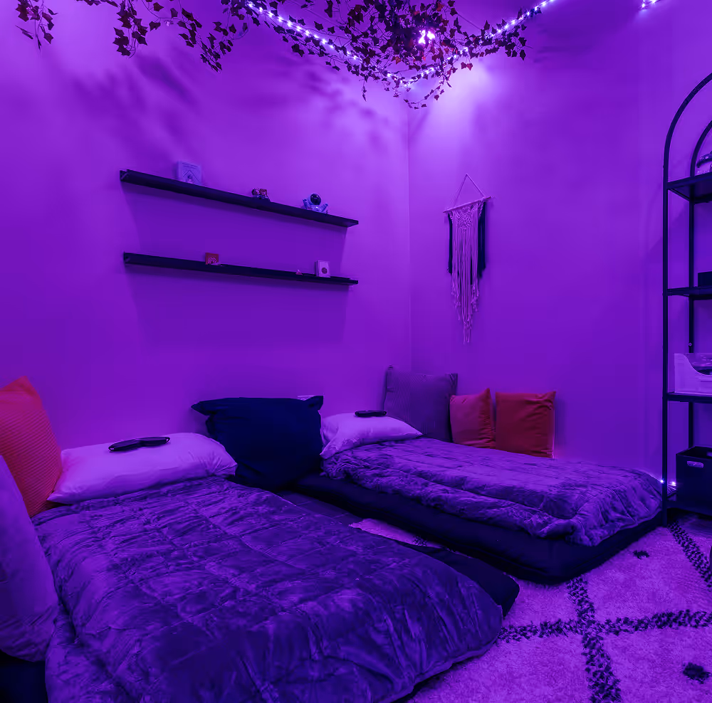 Cozy room with two floor mattresses covered in purple blankets, pillows, wall shelves, hanging plants, and string lights.