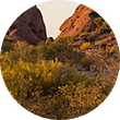 Desert landscape with shrubs and rocky hills under a clear sky.