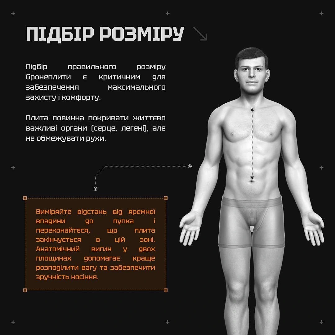 Схема підбору розміру бронеплити для захисту життєво важливих органів