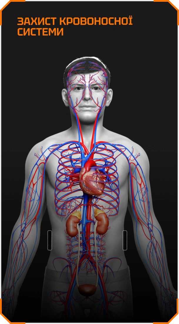 UHMWPE балістичний захист у камербанди BRONYX