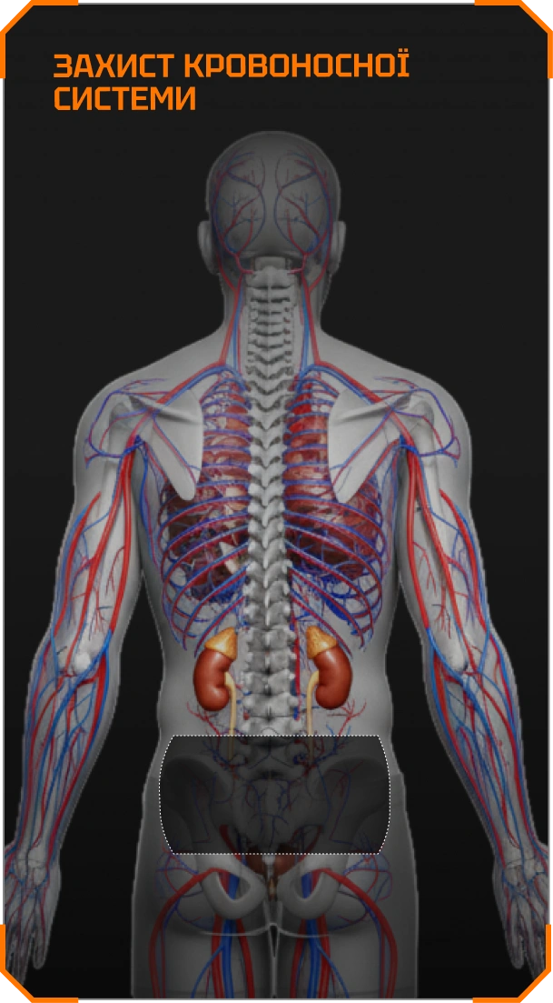 UHMWPE балістичний захист попереку BRONYX