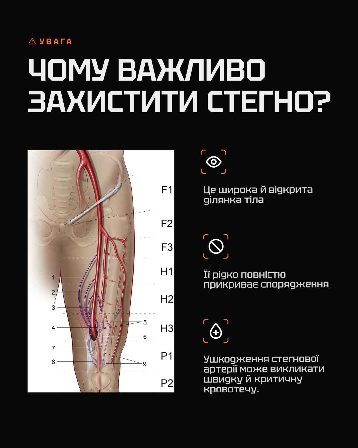 Пояснення чому стегно важливо захищати — нерви та судини
