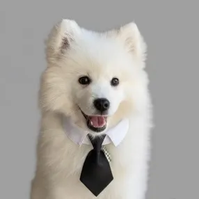 Sora, Chief Happiness Officer