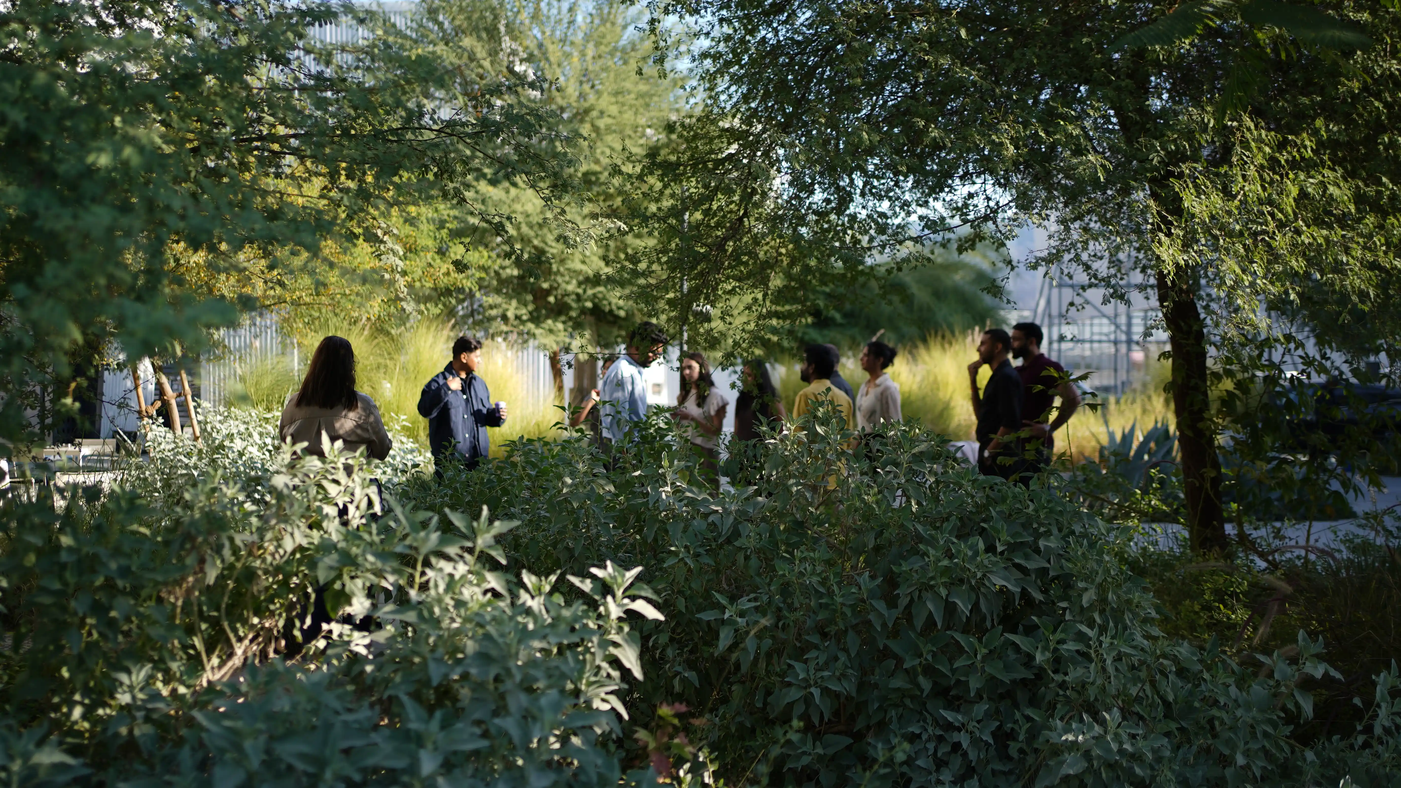 LIMAH design team discussing outdoors, the people behind the experience