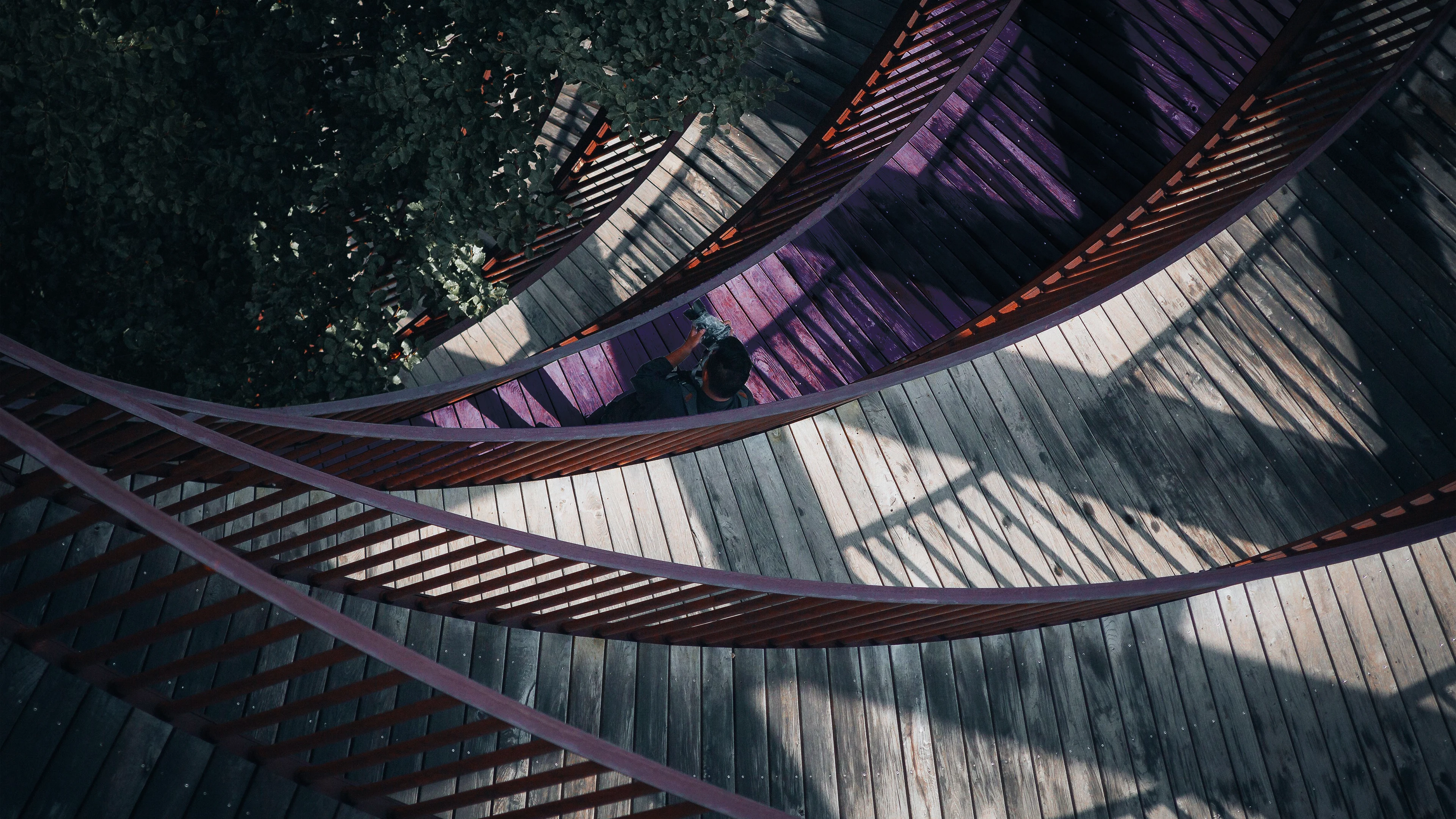 Photographer walking through a spiralling architectural pathway with purple-highlighted circulation, representing LIMAH's built environment integration expertise