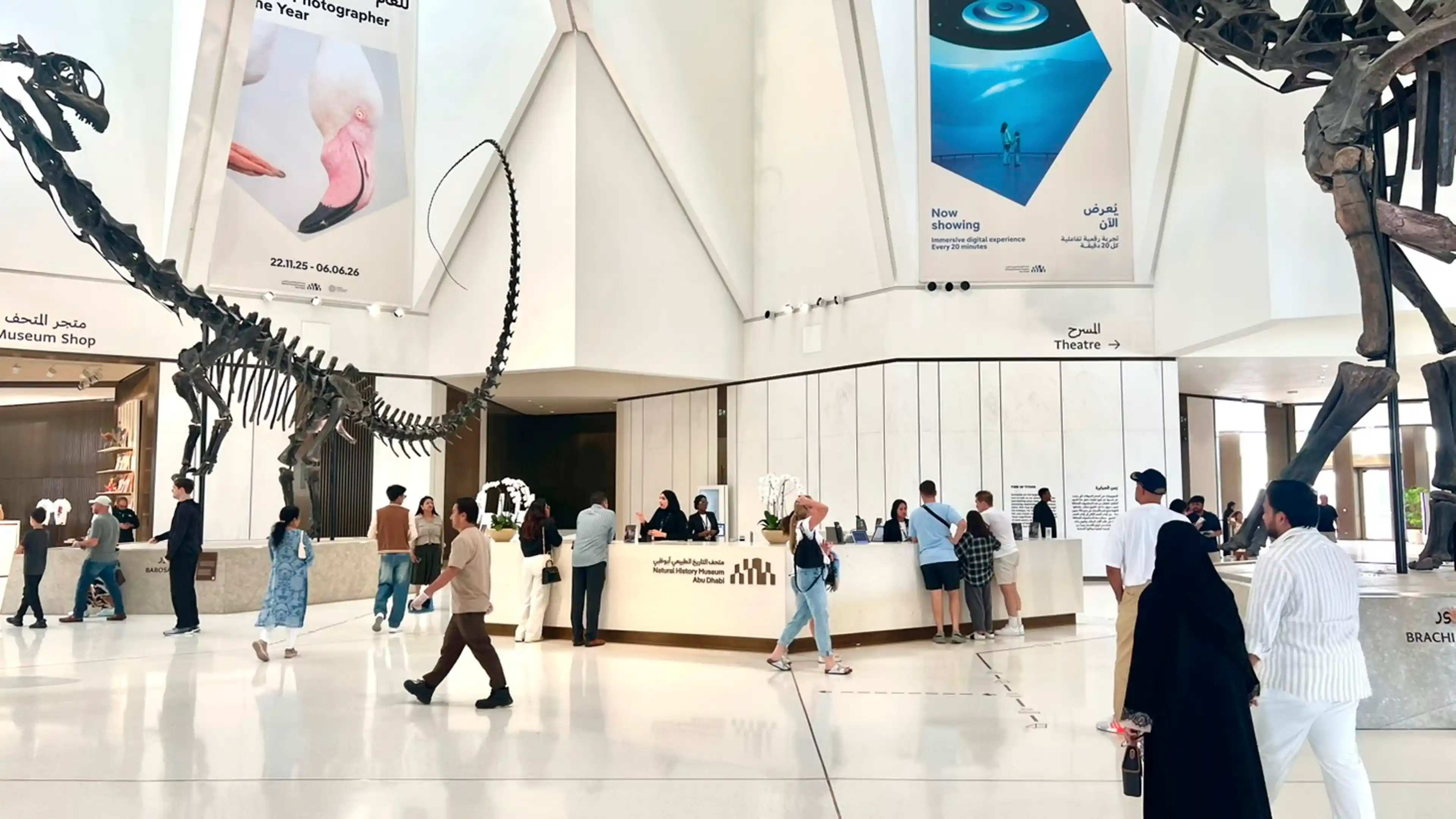Natural History Museum project, protecting the experience through technical delivery