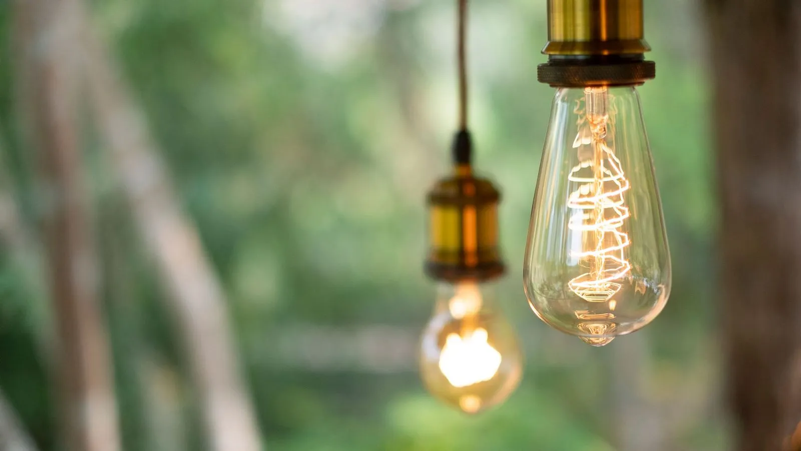 Retro Glühbirnen vor grünem Hintergrund