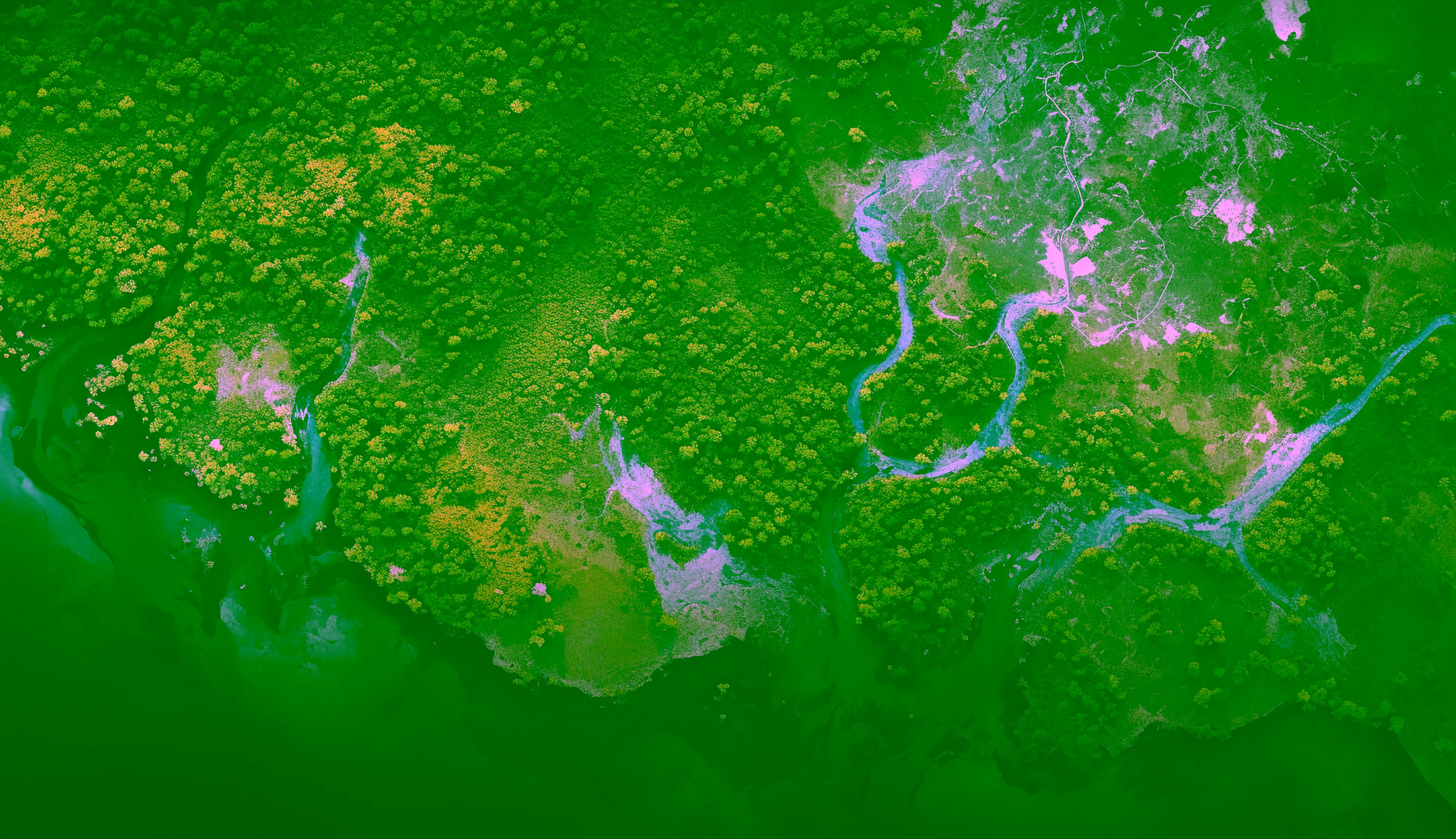 The Wild Hearts Sanctuary - Map Illustration