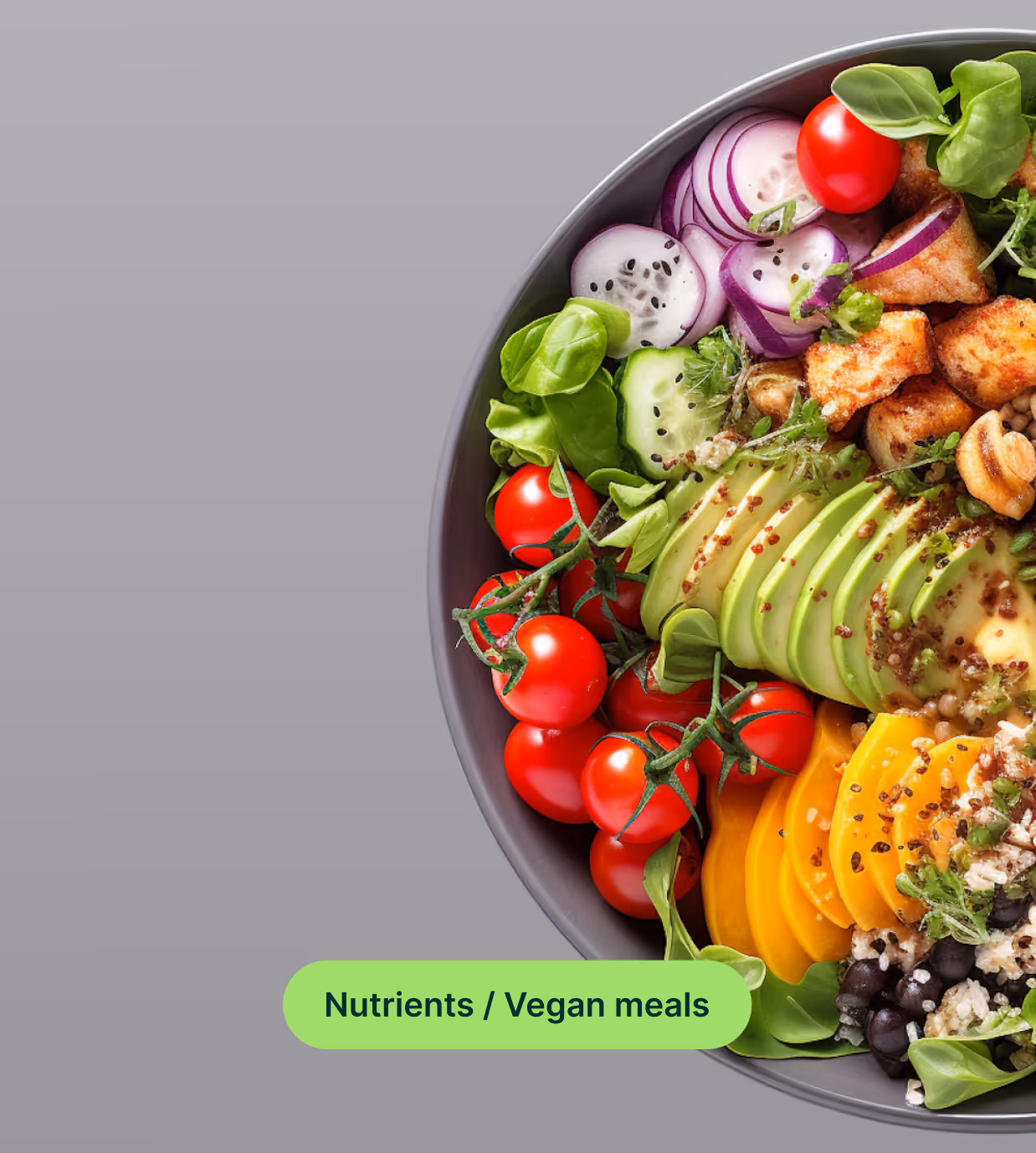 A Vegan planet book - nutrients and vegan meals