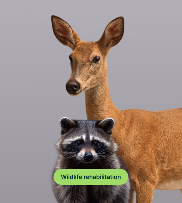 A Vegan planet book - wildlife rehabilitation