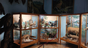 Modernization of the Local History Museum