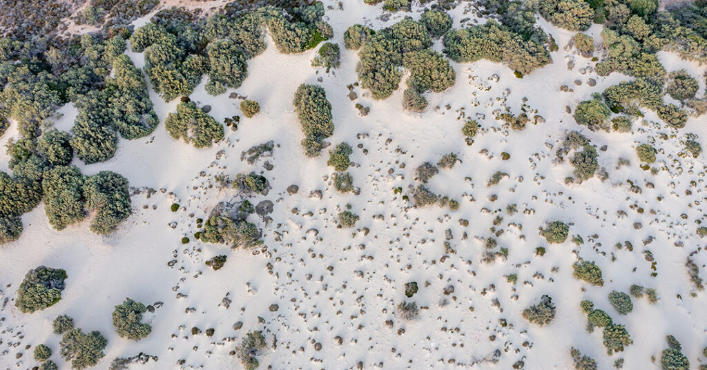 Drones in habitat mapping