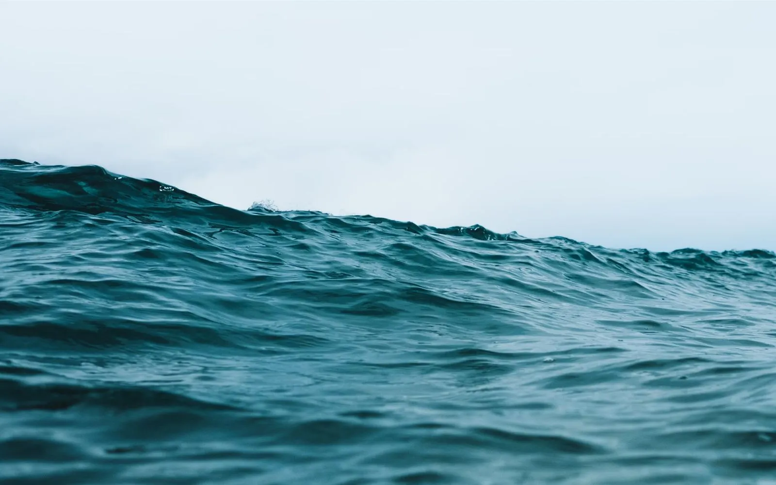 Close-up view of a dark blue ocean wave under a pale, cloudy sky.