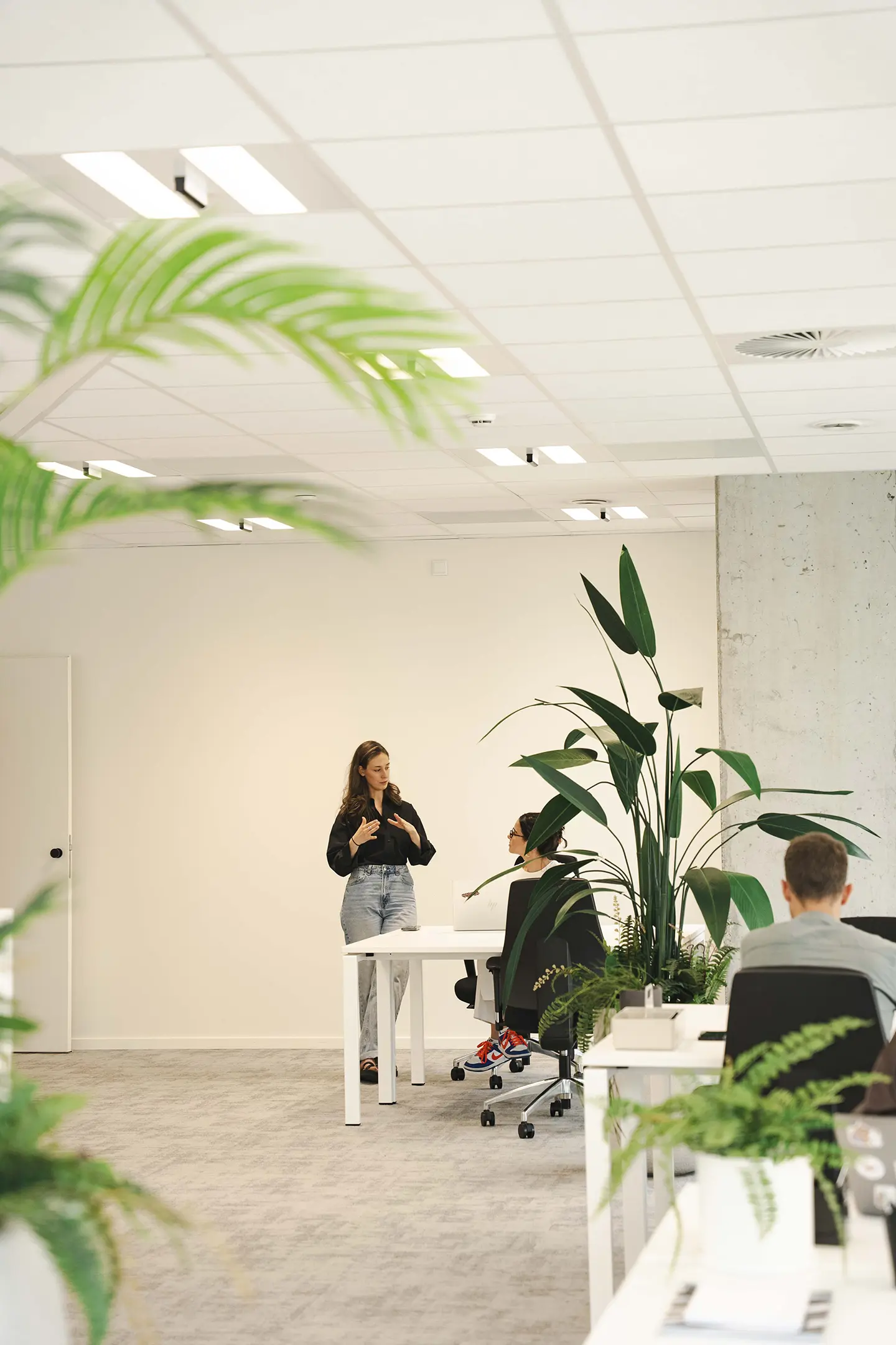 GrowthDistrict by MeetDistrict