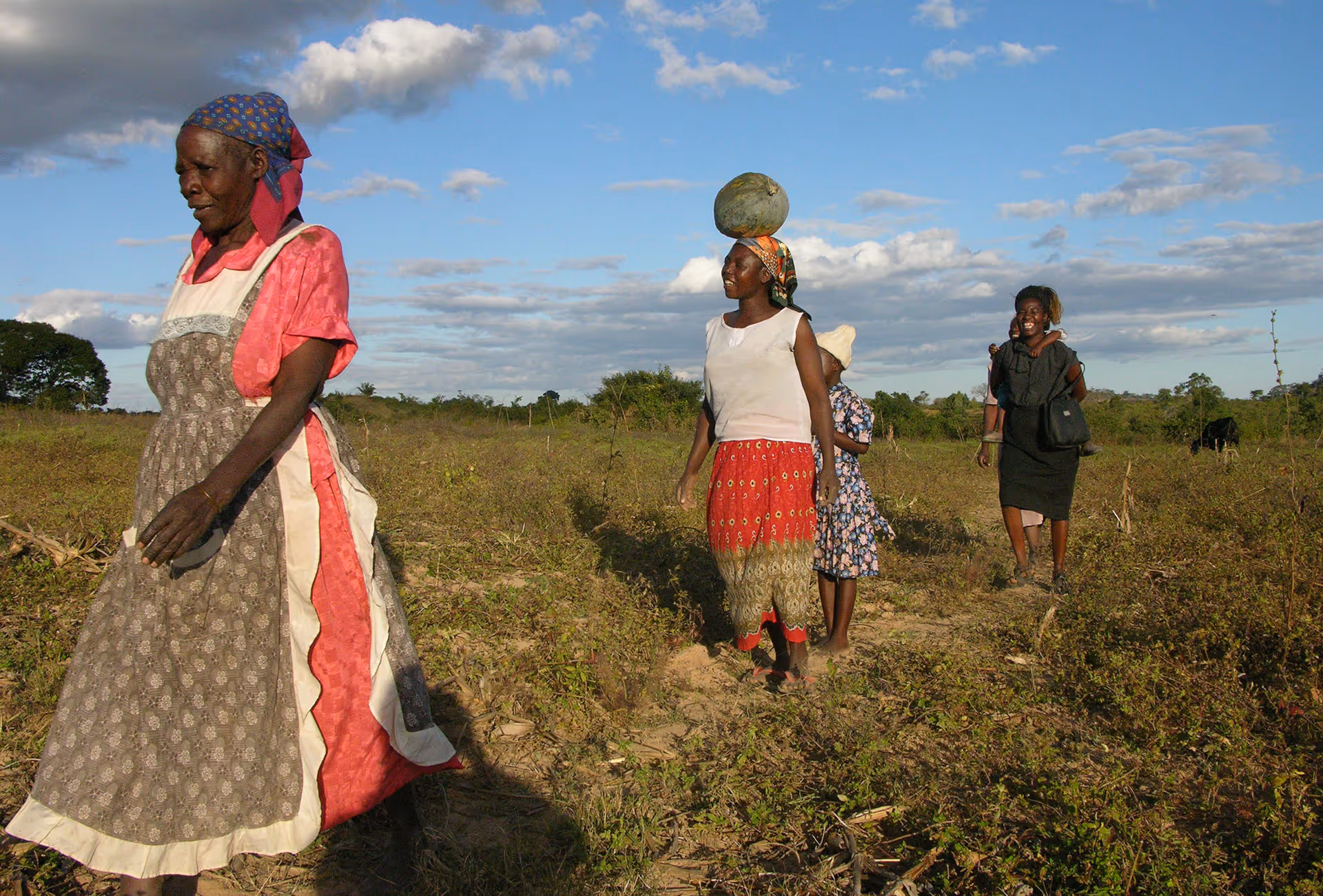 Frauen bei der Feldarbeit im Hinterland von Zimbabwe, unterwegs durch offene Landschaft und Dörfer.