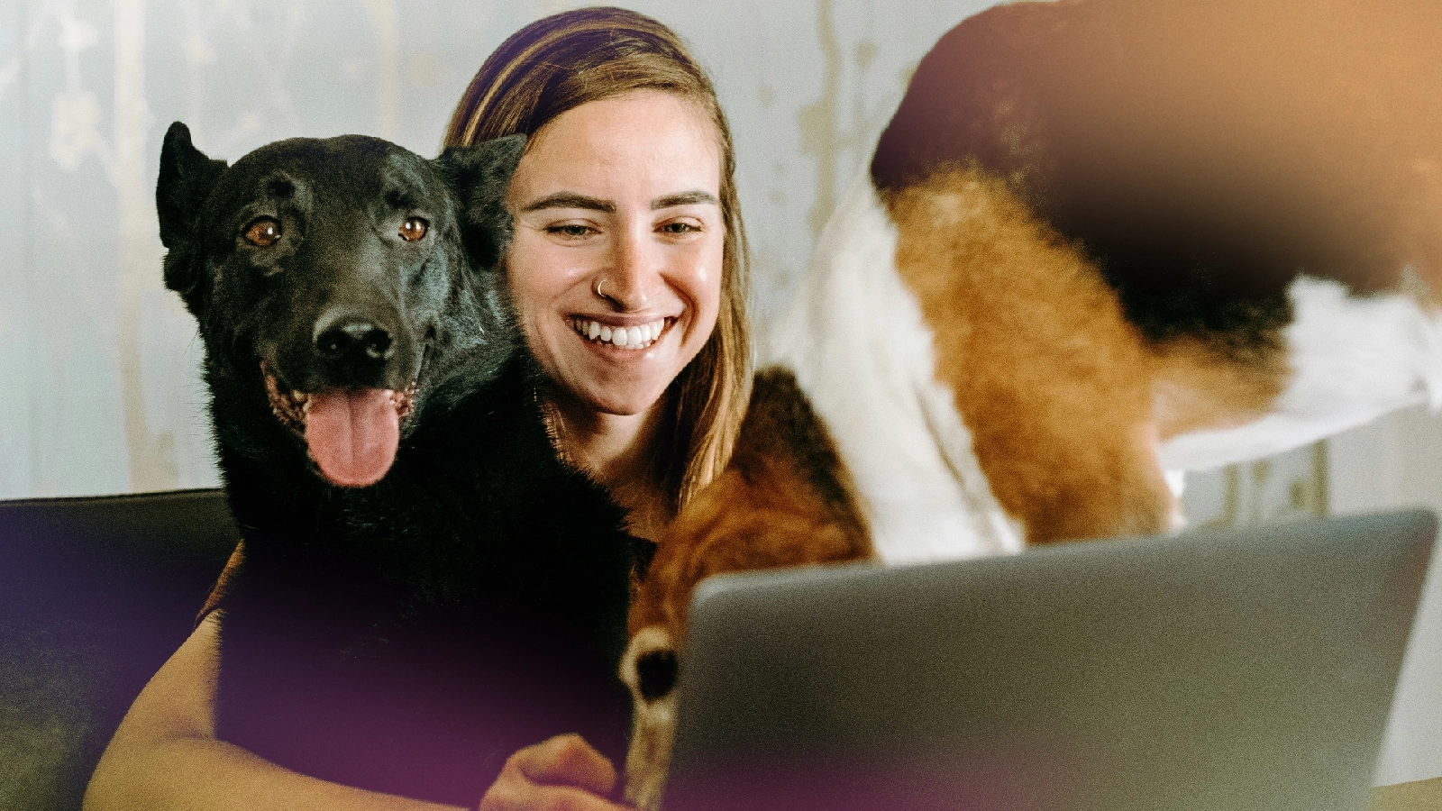 Woman smiling at a laptop with two dogs beside her on the couch