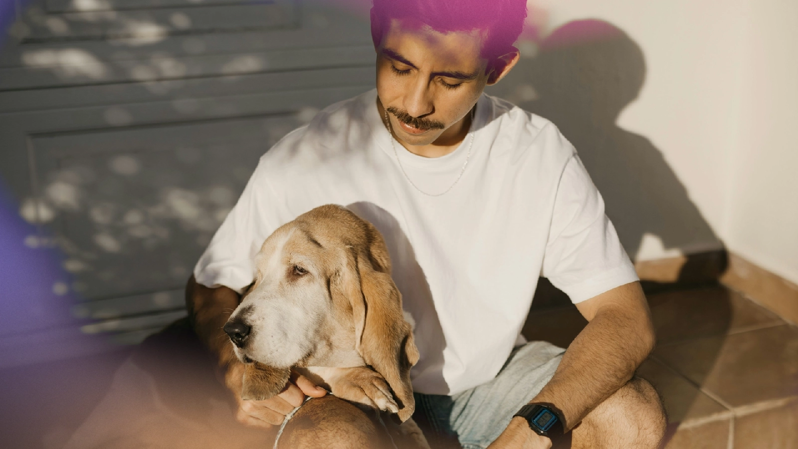 Man sitting on steps, cuddling a Basset Hound in afternoon light