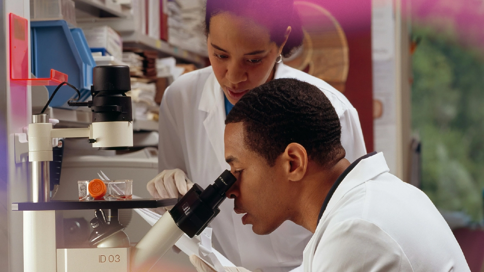 Researchers use a microscope together in a busy laboratory