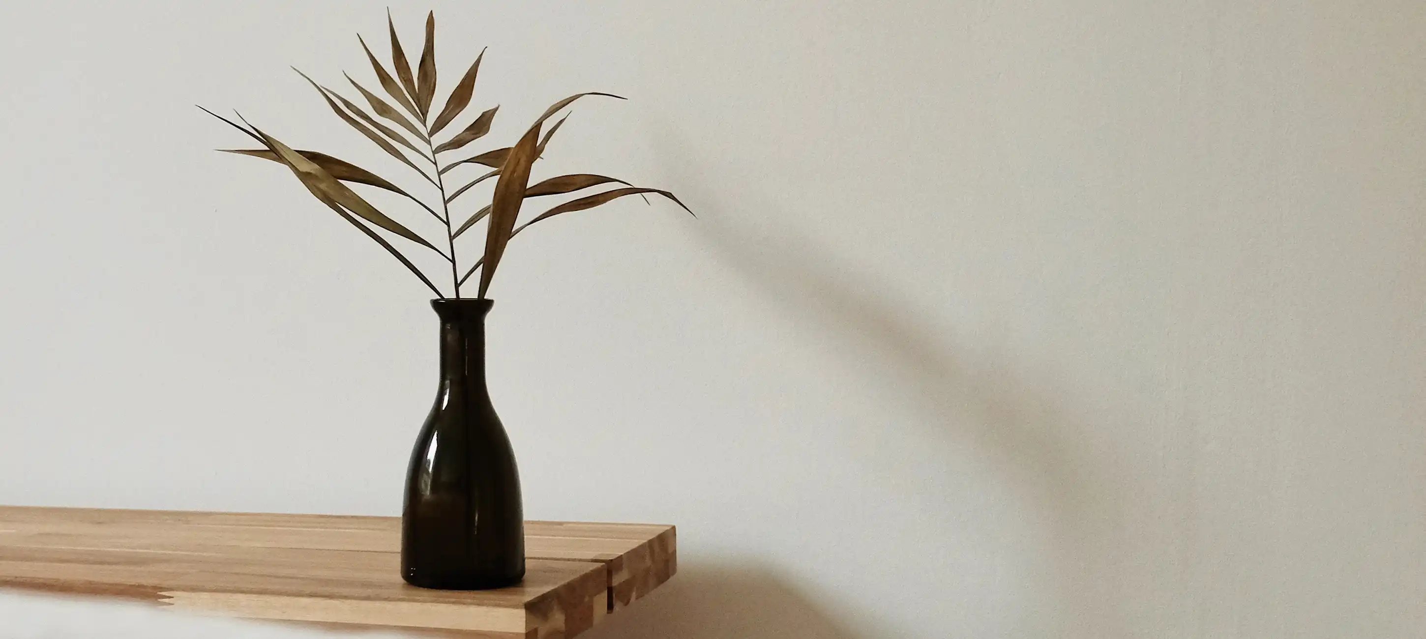 Auteurs van The Decor Studio