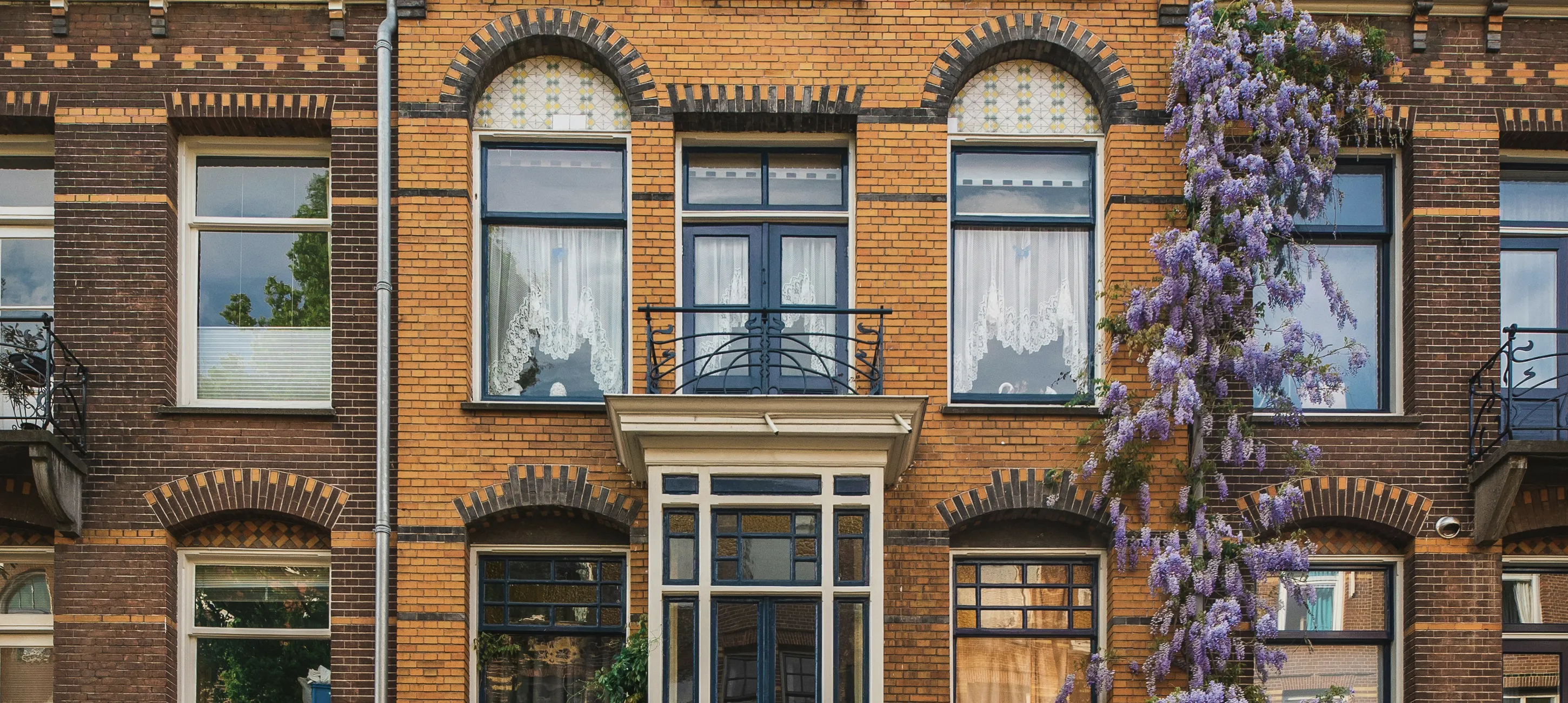 Blauwe regen tegen gevel