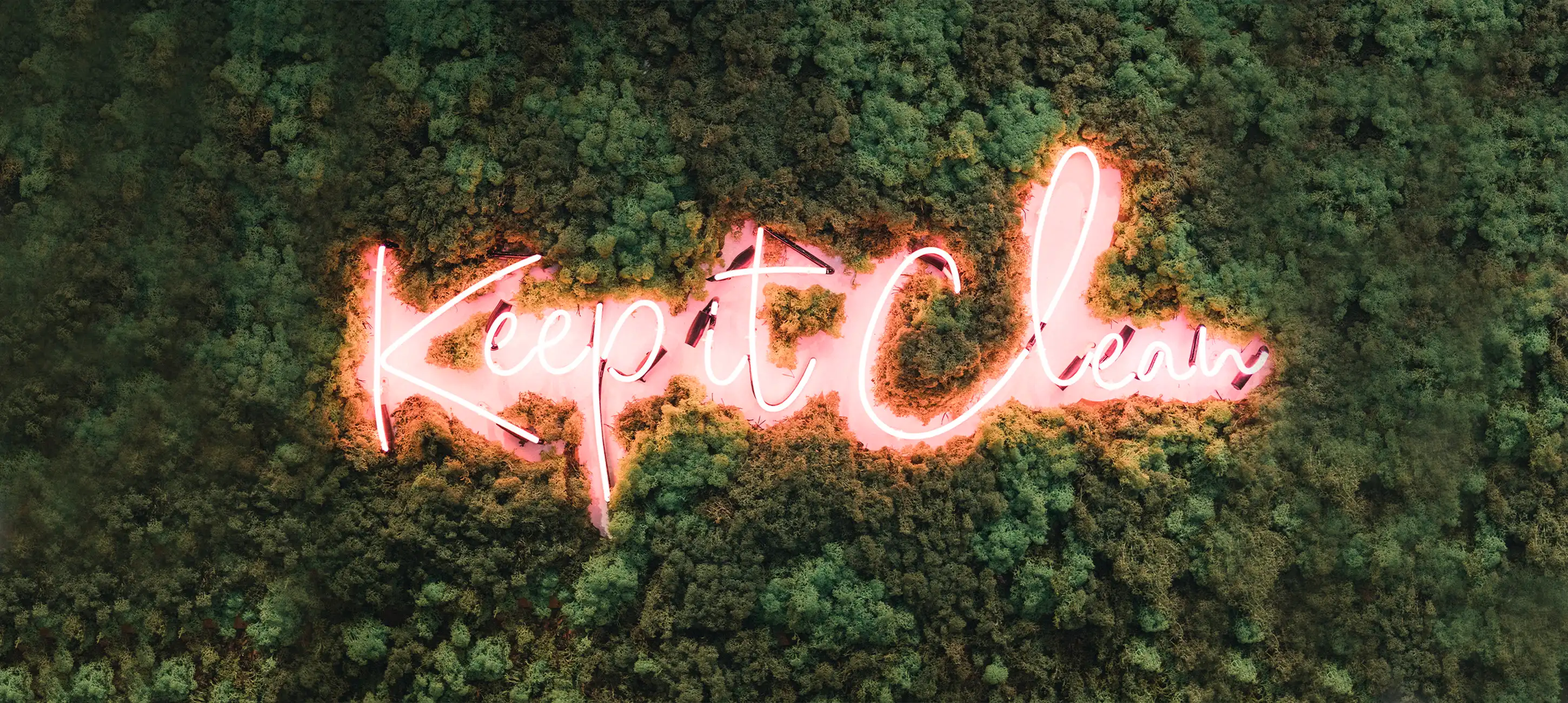 Een moswand in je woning