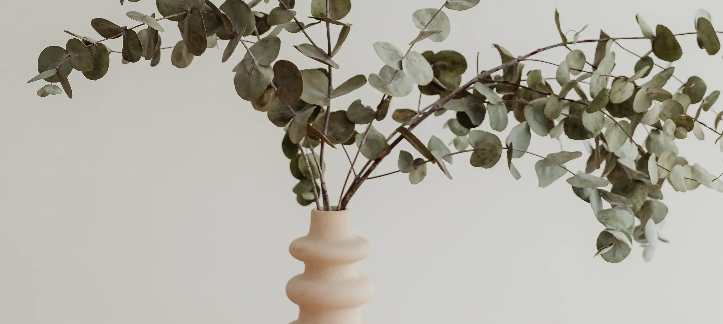 Alles over Feng Shui