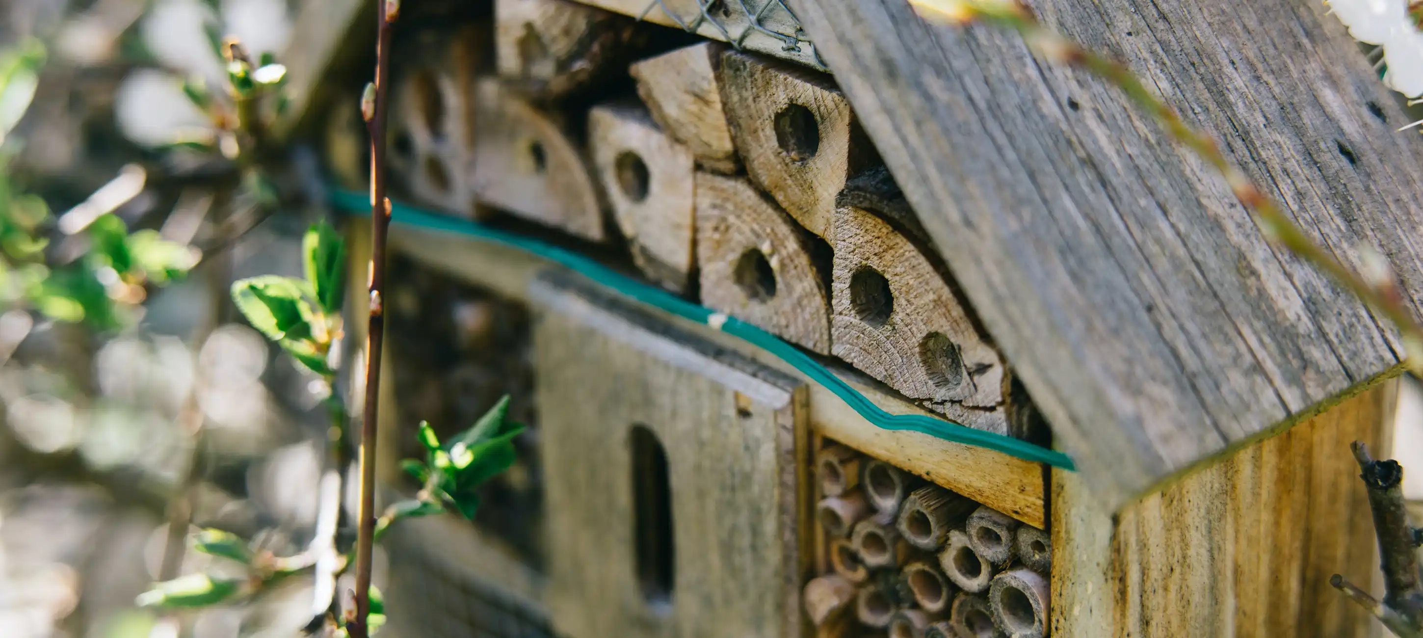 duurzame tuin: een bijenhotel