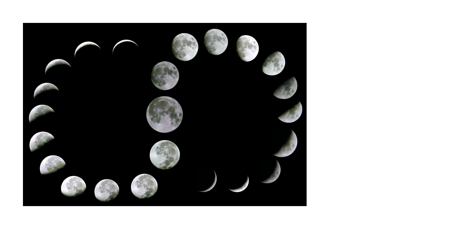 Der Zyklus in den 30ern, 40ern & 50ern – was verändert sich?