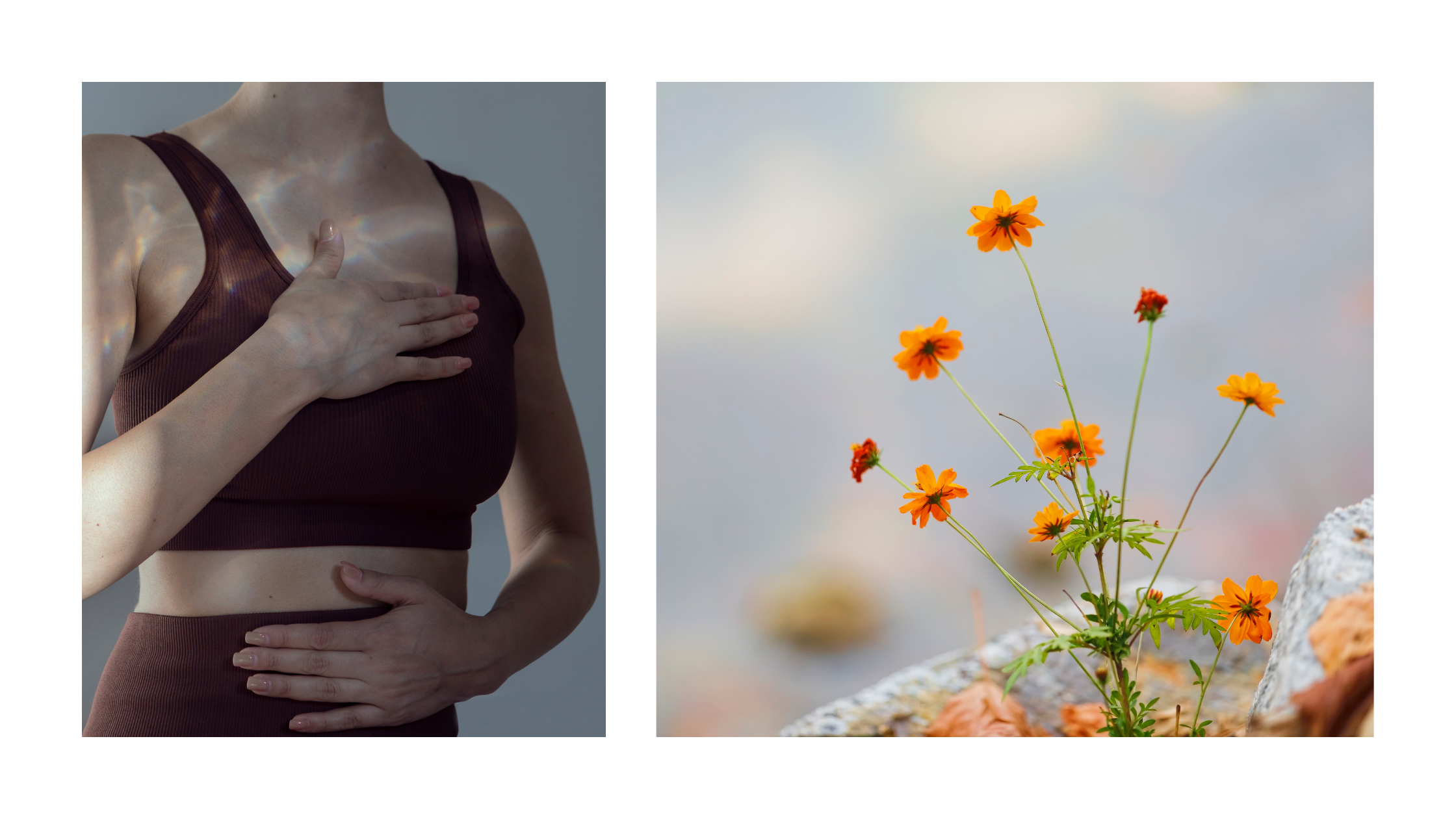 Blutwerte & Hormontests in der Perimenopause – welche Werte sind wann sinnvoll?