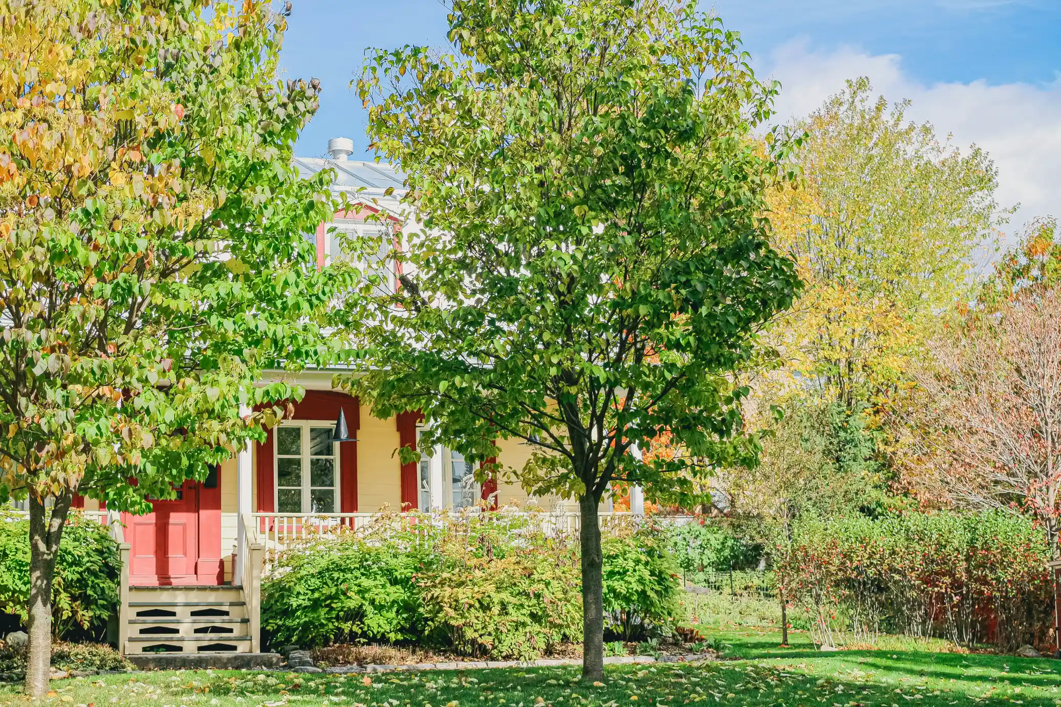 Learn how to get a rental property loan for your LLC. Our guide covers everything from eligibility requirements to the best lenders for real estate investors.