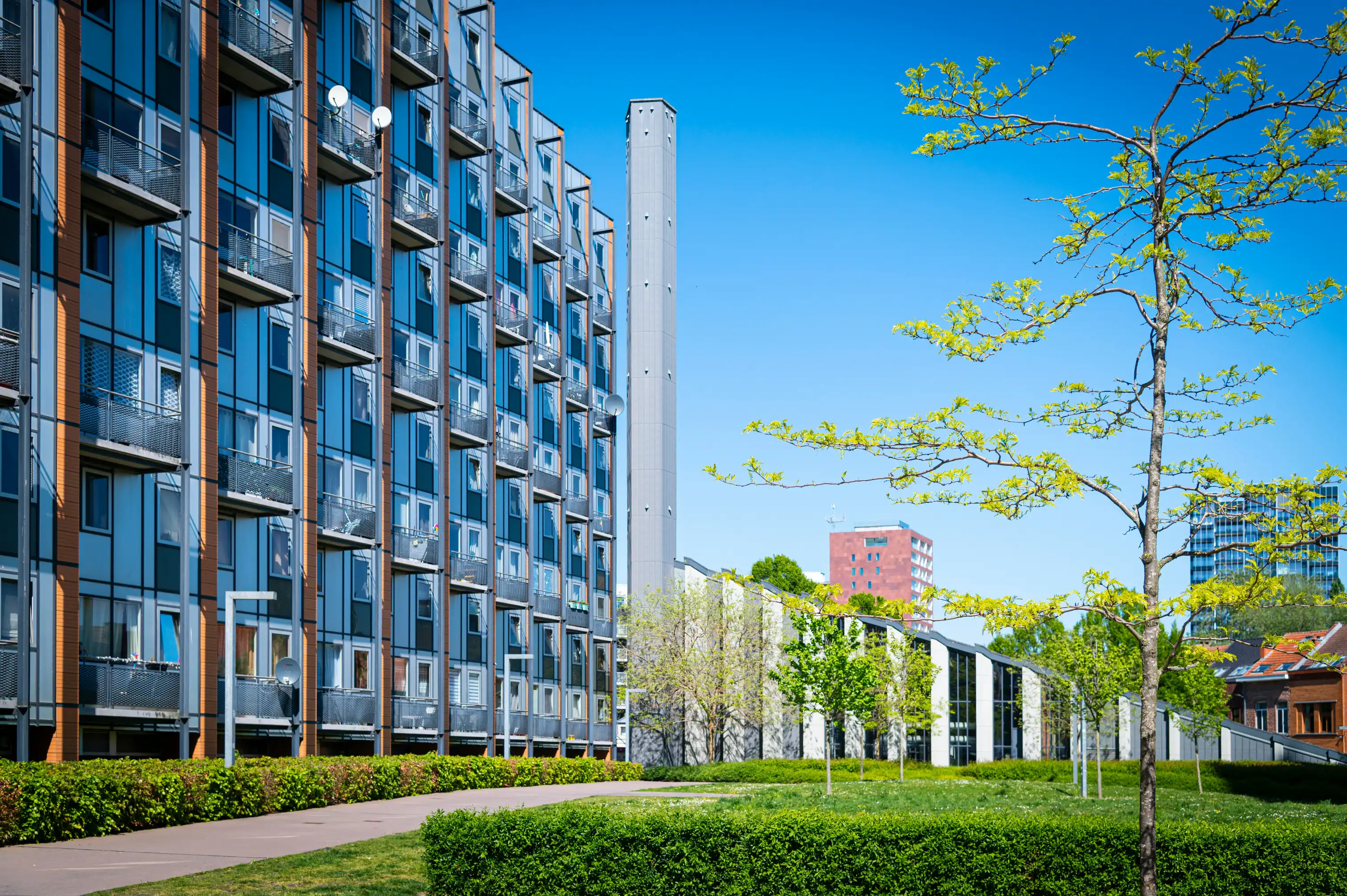 Learn the essential rental property loan requirements including credit scores, down payments, DTI ratios, and income verification. Discover how DSCR loans can help investors qualify.