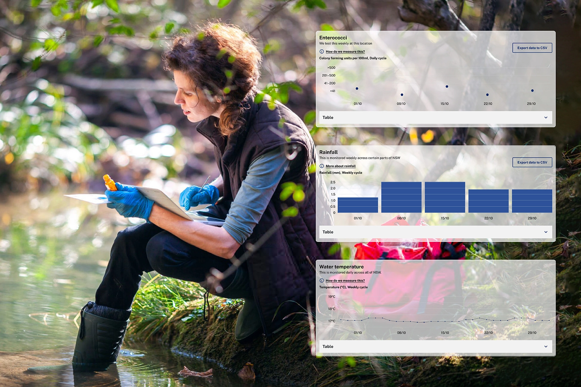 Water-quality charts from Beachwatch overlaid on a photo of a scientist taking samples at a creek.