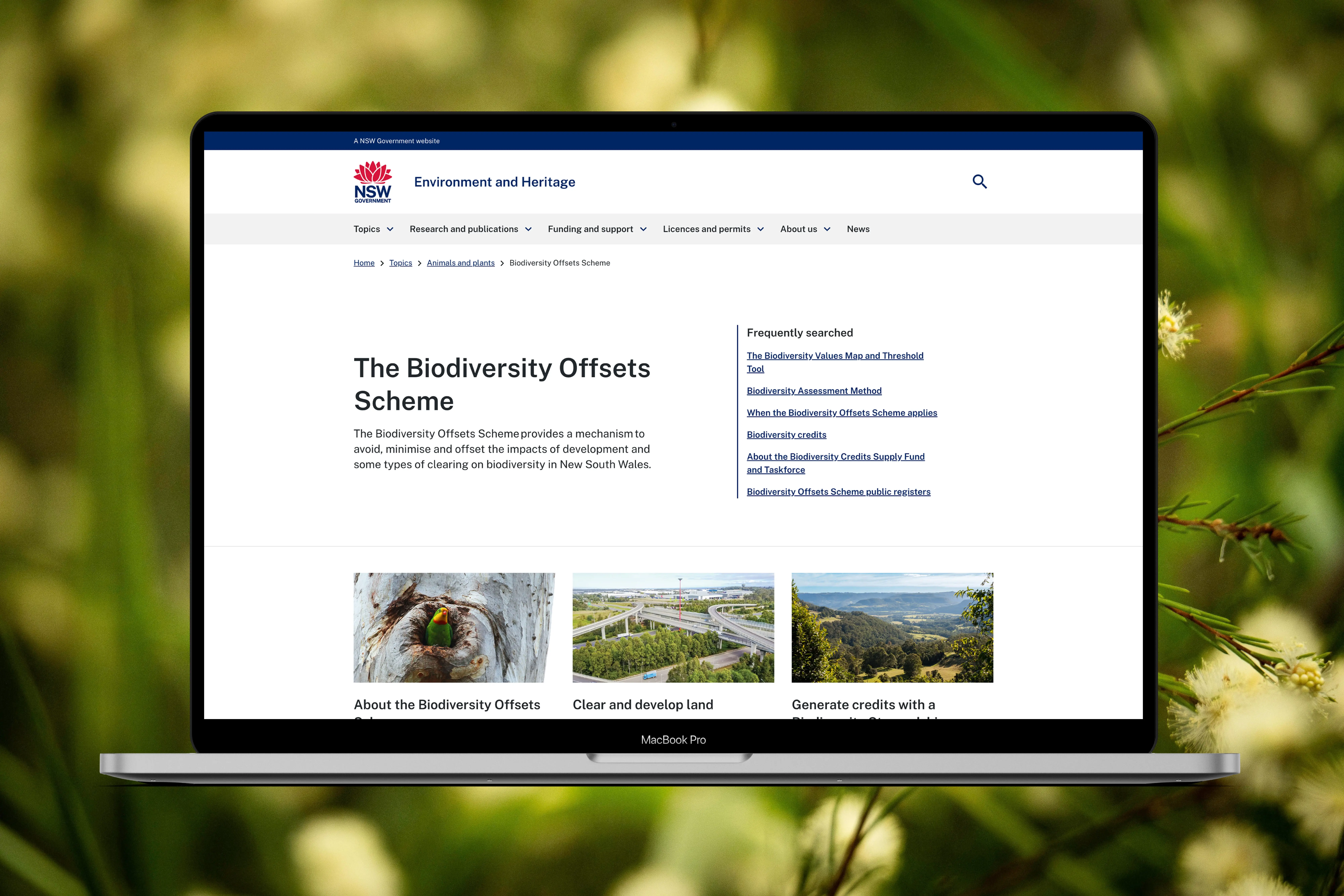 Laptop displaying the redesigned Biodiversity Offset Scheme website homepage with clearer navigation and landholder resources.