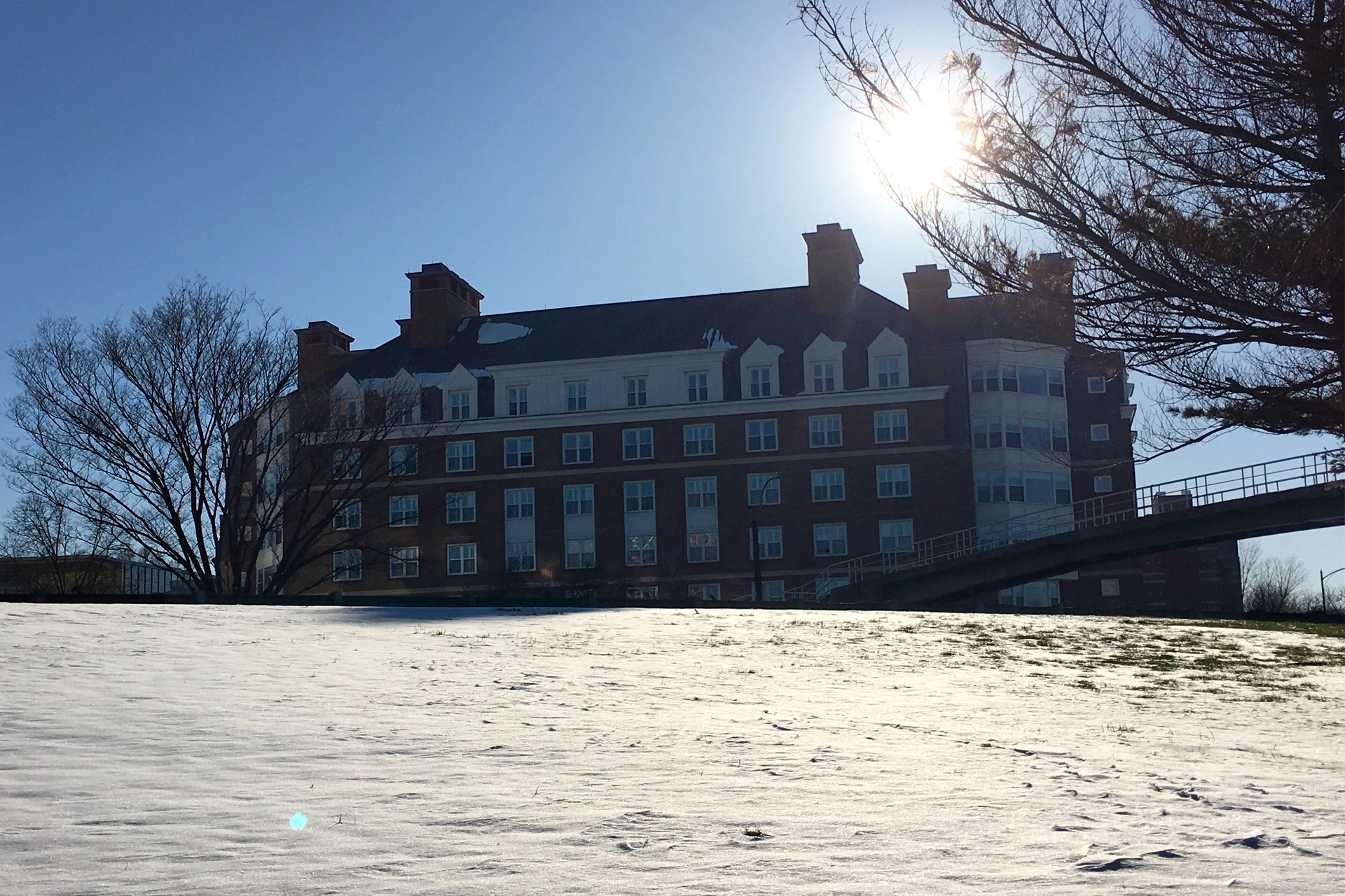 Sunlit Harvard building behind a snow-covered lawn