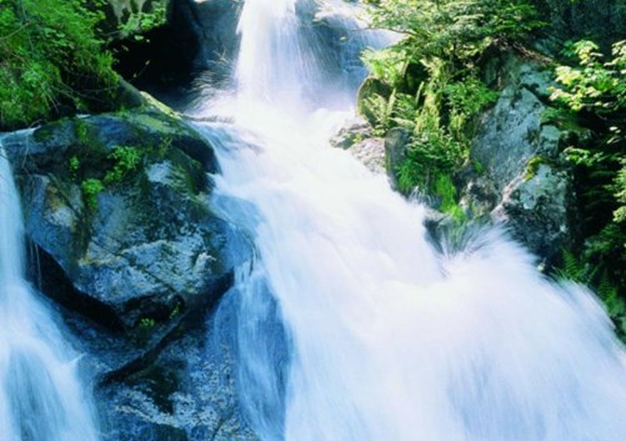 Kirnbacher-hof-home-attractions-image-six