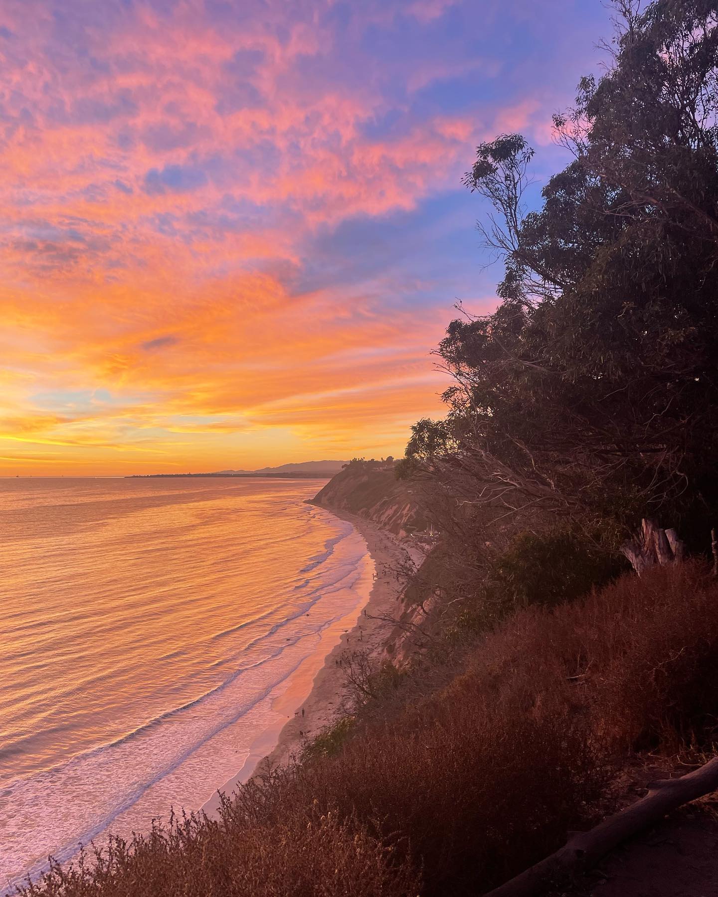 Douglas Family Preserve