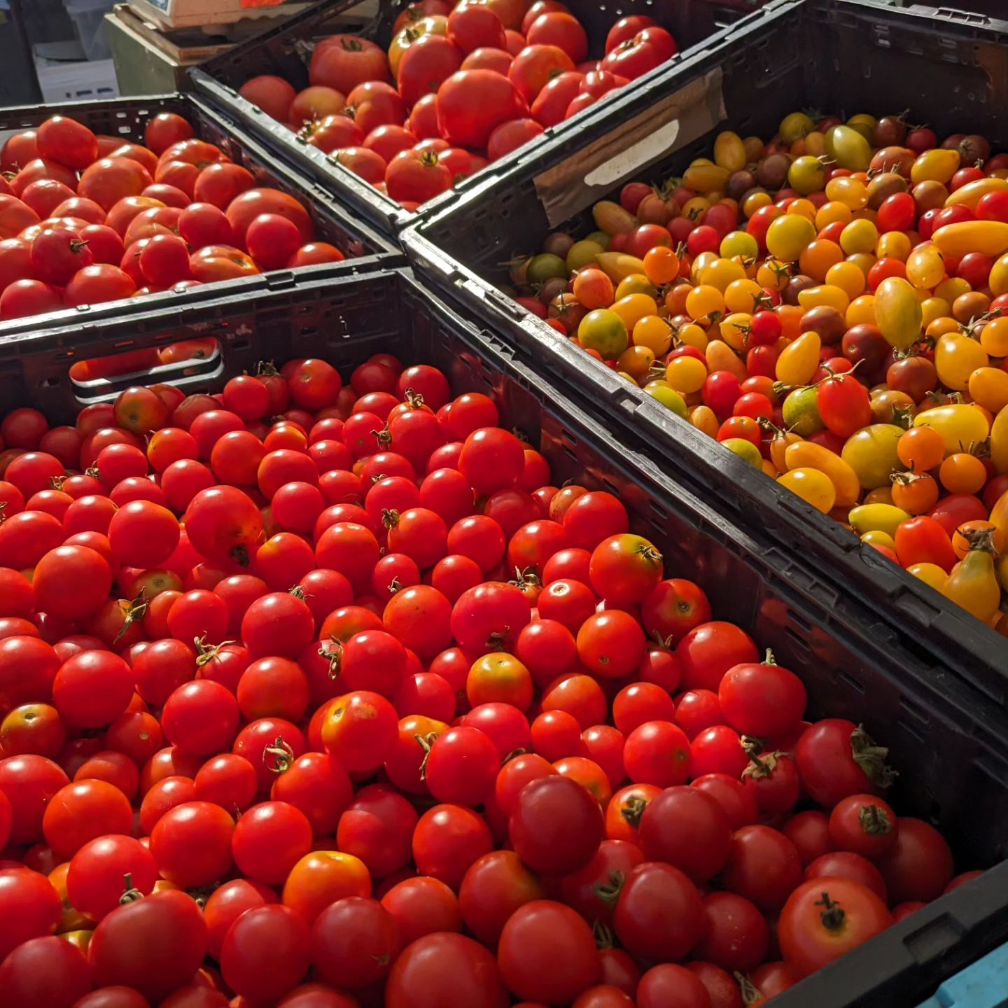Goleta Farmers market