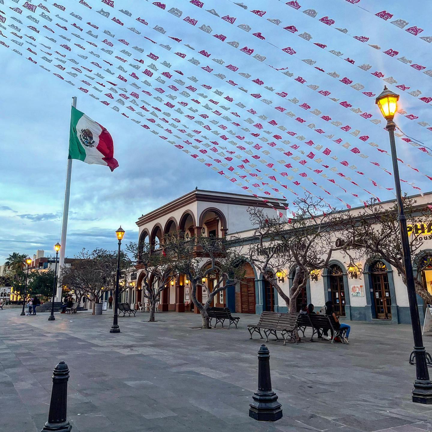 Mexico Flag