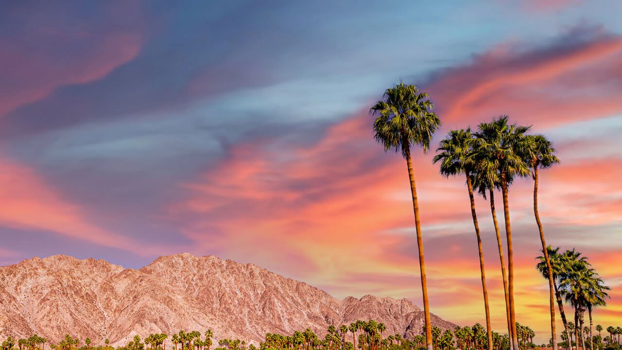 Vibrant desert sunset with tall palm trees and mountain landscape under colorful pink, orange, and blue sky in Palm Springs