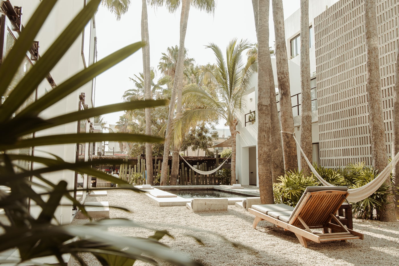 Serene outdoor courtyard with palm trees, a hammock, and a wooden lounge chair next to a small pool. The space is surrounded by white modern buildings and lush greenery, creating a tropical, relaxed atmosphere.