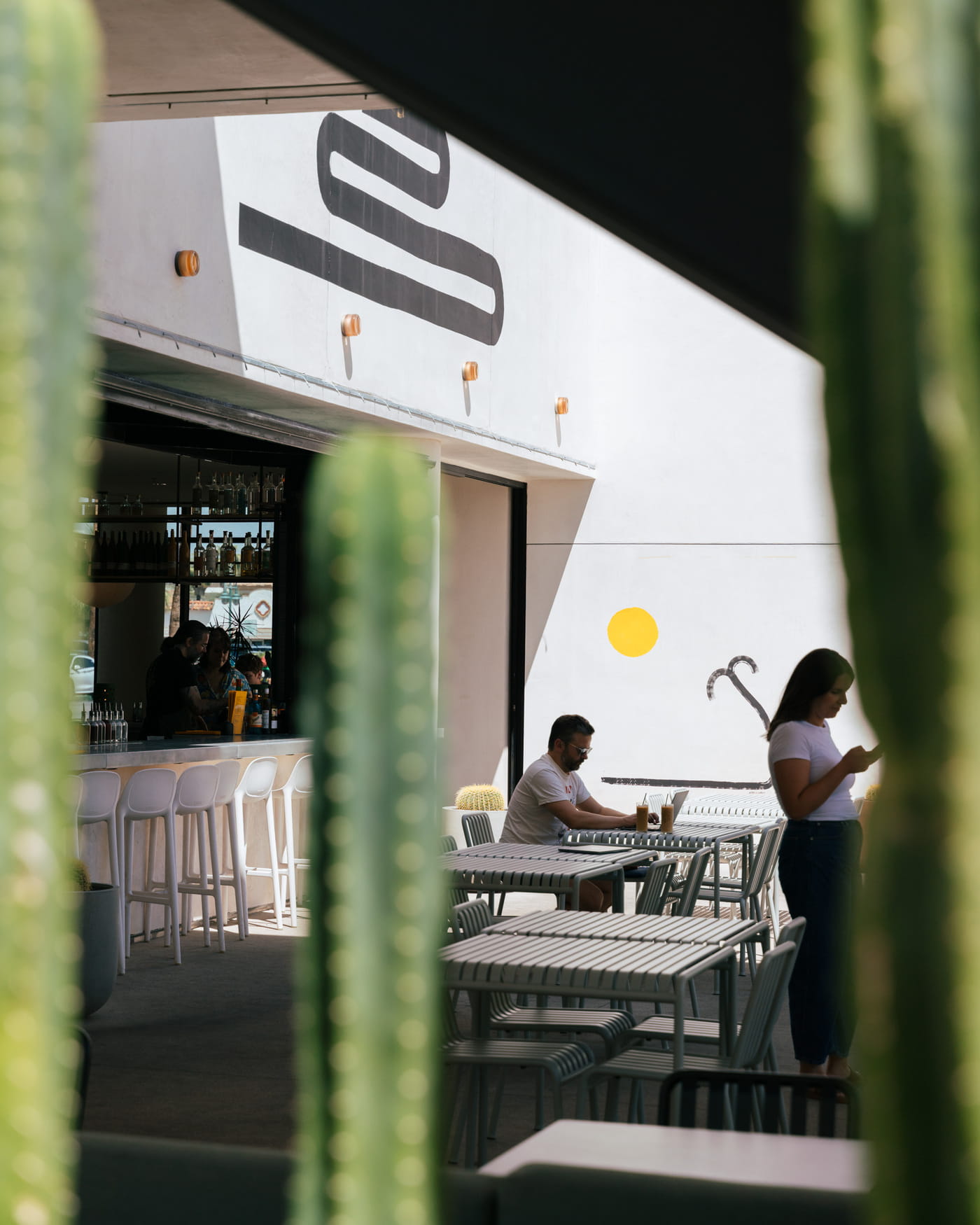 Desert modern outdoor patio bar with cactus framing and minimalist white architecture