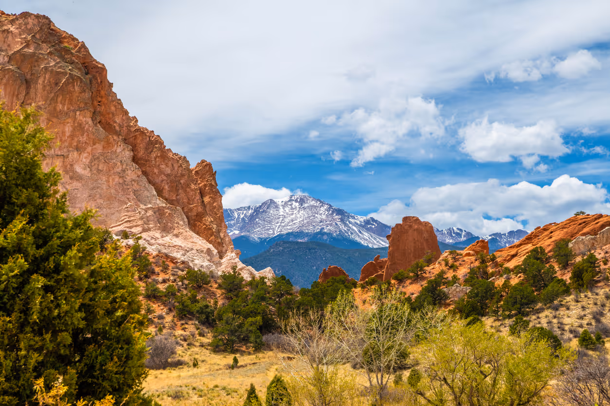 image of people networking