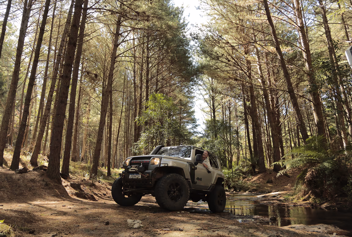 Homem sorridente em um jipe branco parado em uma trilha de floresta com árvores altas e um riacho ao lado.