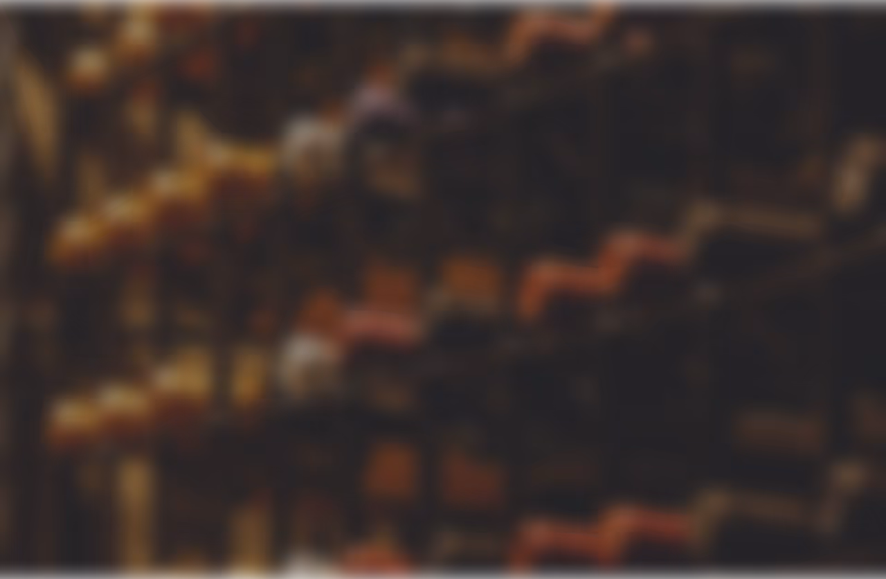 Estantes em uma adega com garrafas de vinho armazenadas.