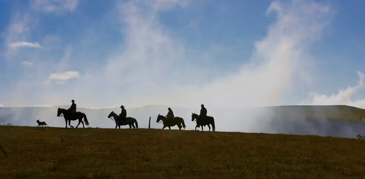 Silhuetas de quatro cavaleiros e um cachorro caminhando em um campo sob um céu azul com nuvens.