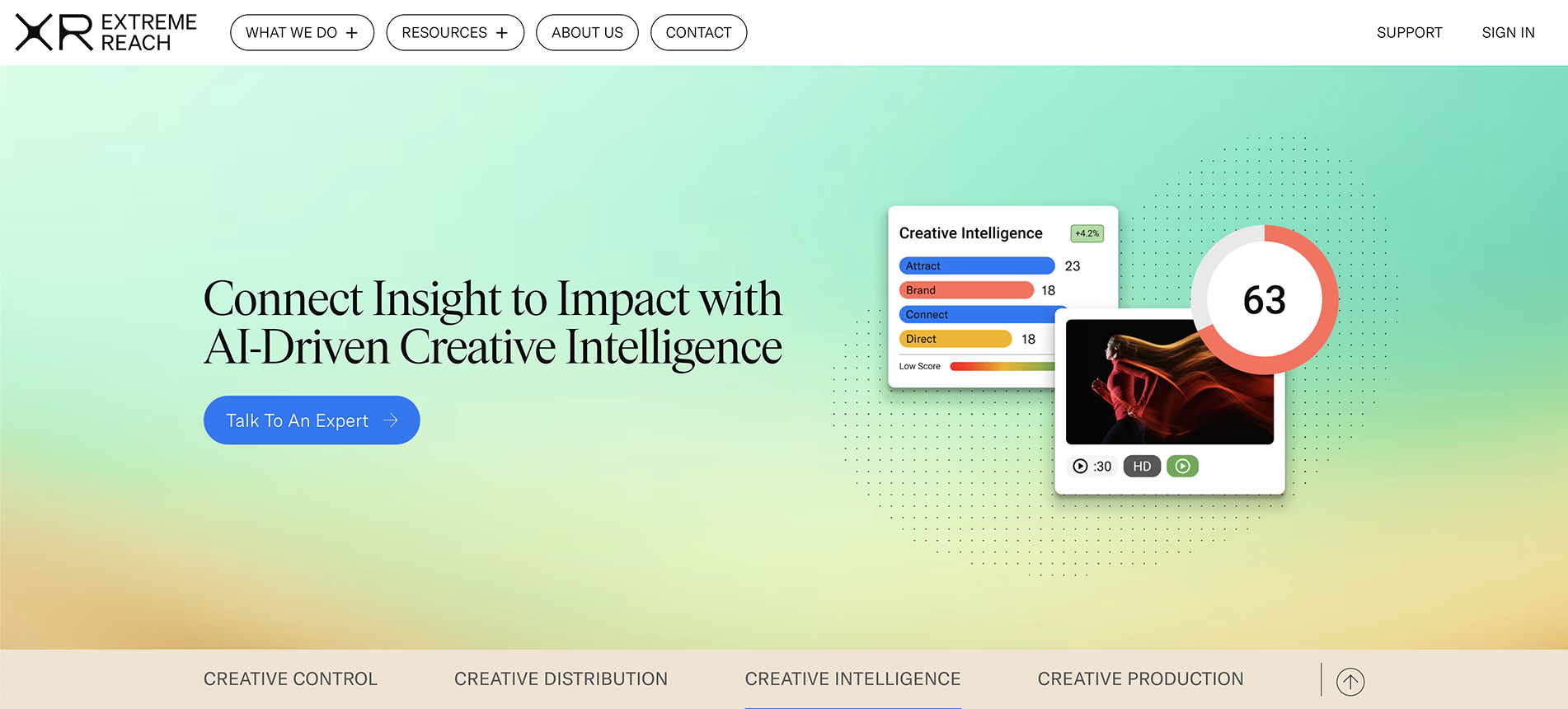 XR Website screenshot