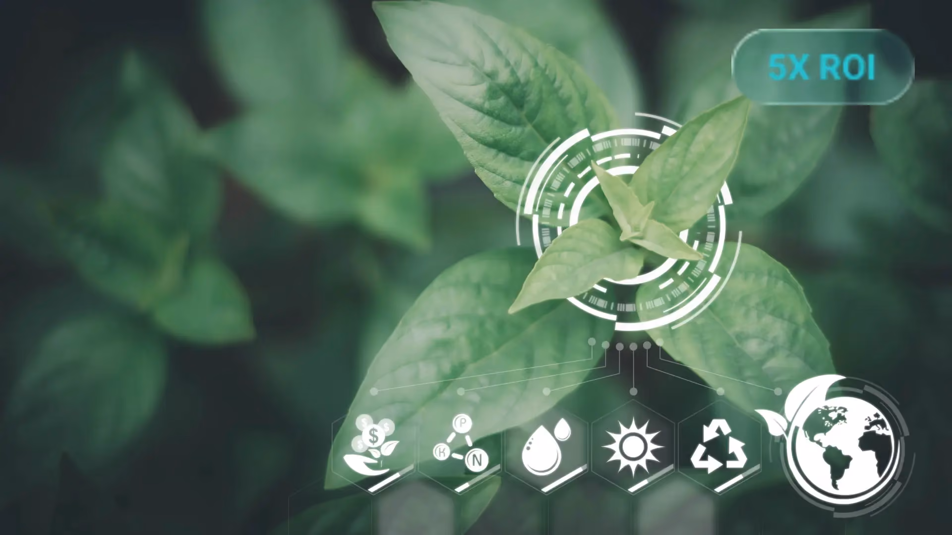A National Environmental Company Found 17% in Savings